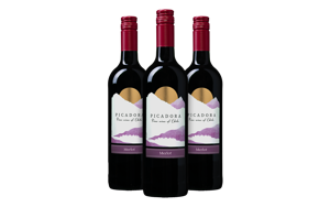 Picadora Merlot Probeerpakket (3 flessen)