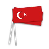 Turkije zwaaivlaggetjes - 50x st - 21 x 12 cm - hand vlaggetjes - Turkse vlag - Landen vlaggen Turkije zwaaivlaggetjes - 50x st - 21 x 12 cm - hand vlaggetjes - Turkse vlag - Landen vlaggen