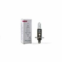 Gloeilamp voor de auto M-Tech Z1 P14,5s H1
