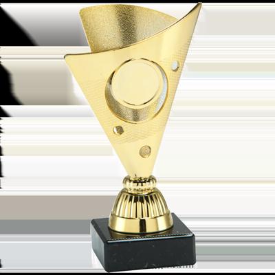 Sportprijzen Leiden Trofee Set.325