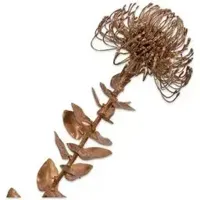 Silk-ka kunsttak protea 0cm goud Silk-ka kunsttak protea 0cm goud