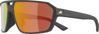Alpina swift - sports glasses