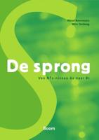 De sprong (Paperback)