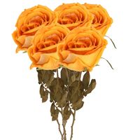 Kunstbloem roos Calista - 5x - perzik oranje - 66 cm - kunststof steel - decoratie bloemen