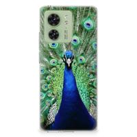Motorola Edge 40 | TPU Hoesje | Pauw