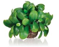 BiOrb maretak bal aquarium - Biorb BiOrb maretak bal aquarium - Biorb