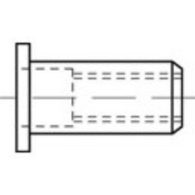 TOOLCRAFT TO-5380479 Popmoer M8 RVS 100 stuk(s)