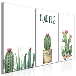 Schilderij - Cactus, 3luik, 120x60