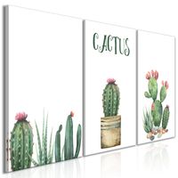 Schilderij - Cactus, 3luik, 120x60 - thumbnail