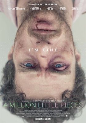 A Million Little Pieces - DVD (8713045250195) A Million Little Pieces - DVD (8713045250195)