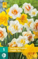 Narcis dubbel mix 5 bollen