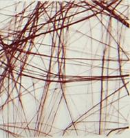 Vaessen Creative • sizoweb 5mx30cm in koker chocoladebruin