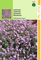 Aubrietia Hybrida Grfl.Whitewell Gem - Hortitops