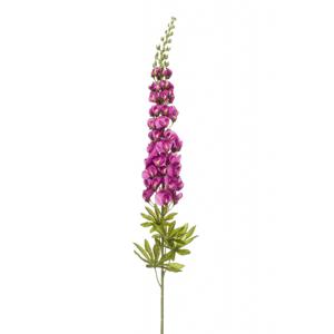 Lupine spray