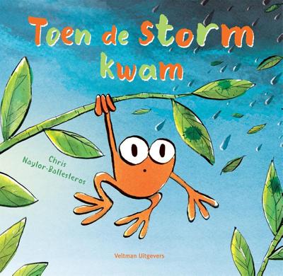 Toen de storm kwam (Hardback)