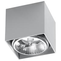 Plafondlamp BLAKE grijs