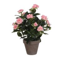 Decoratieve plant Mica Decorations Rosal Keramisch PVC Decoratieve plant Mica Decorations Rosal Keramisch PVC