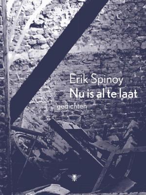 Nu is al te laat (Paperback)