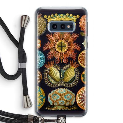 Haeckel Ascidiae: Samsung Galaxy S10e Transparant Hoesje met koord
