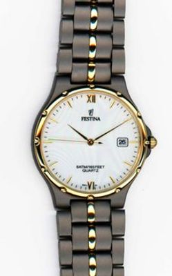 Horlogeband Festina F8871 / BA00187 Titanium