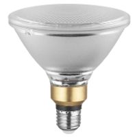 LPPR38D1203012,5827  - LED-lamp/Multi-LED LPPR38D1203012,5827 - thumbnail