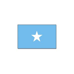 Gevelvlag/vlaggenmast vlag Somalie 90 x 150 cm   -
