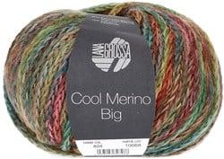 Lana Grossa Cool Merino Big Color 404 Karamel/Jade/Petrol/Oker/Olijf/Roze/Donkerbruin