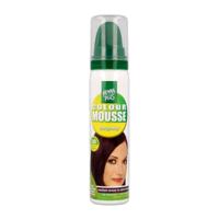 Henna Plus Colour mousse 3.67 aubergine 75 Milliliter