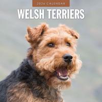 Welsh Terrier Kalender 2026