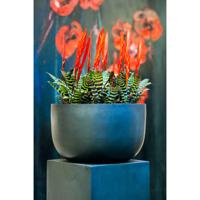 Schaal Sunny M 33x20cm antraciet