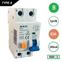 SEP Aardlekautomaat 63A B Kar 300mA 2 polig 36mm RCM2 Kema Keur 230V automaat en aardlek in een