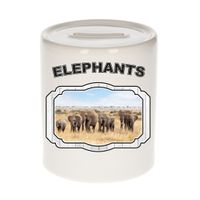 Dieren liefhebber olifant spaarpot - olifanten cadeau
