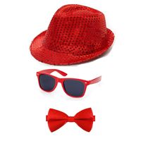 Carnaval verkleed set glitter hoed bril en strikje rood