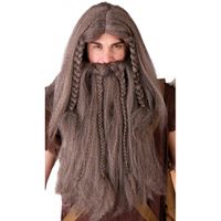Luxe viking carnaval / halloween pruik inclusief baard voor mannen   -