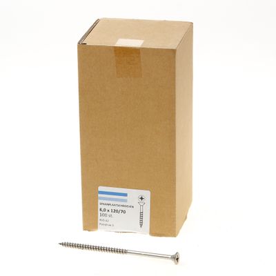Spaanpl.schr.rvs pk pz3 6.0X120/70 dd