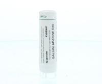 Homeoden Heel Ginkgo biloba LM30 6 Gram