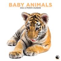Baby Dieren Kalender 2026