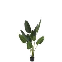 J-Line Strelitzia Plastiek Groen Small