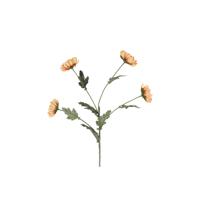 Kunsttak Chrysanthemum beige 20xH83,8cm