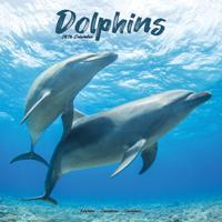 Dolfijnen Kalender 2026 Dolfijnen Kalender 2026