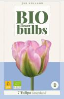 BIO tulp groenland 7 bollen
