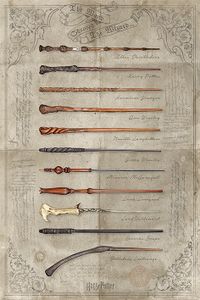 Harry Potter The Wand Chooses The Wizard Poster 61x91.5cm