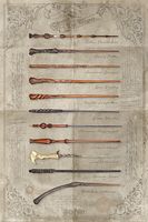 Harry Potter The Wand Chooses The Wizard Poster 61x91.5cm - thumbnail