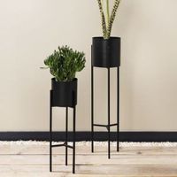 2 hoge plantenpotten - thumbnail