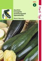 Courgette Black Beauty Verte De Milan - Hortitops