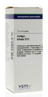 VSM Ginkgo biloba D12 (20 ml)