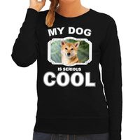 Honden liefhebber trui / sweater Shiba inu my dog is serious cool zwart voor dames 2XL  - - thumbnail