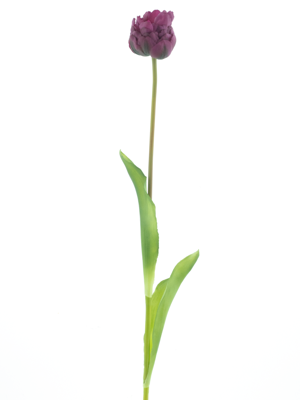 PSO Tulip spray Paris Sally purple 79 cm kunstbloem - Nova nature