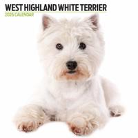 West Highland White Terrier Modern Kalender 2026