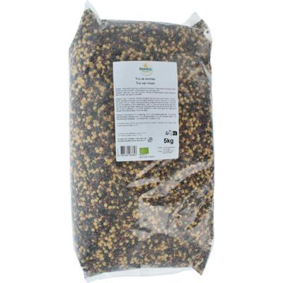 Primeal Linzen trio bio